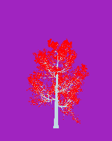greenshift tree