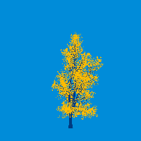 greenshift tree