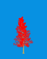 greenshift tree