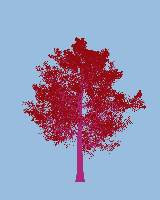 greenshift tree