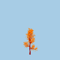 greenshift tree