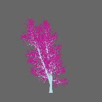greenshift tree