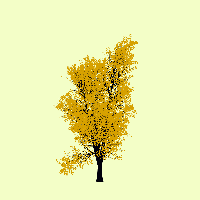 greenshift tree