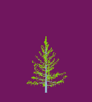 greenshift tree