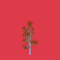 greenshift tree