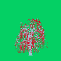 greenshift tree