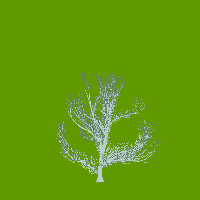greenshift tree