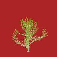 greenshift tree