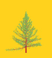 greenshift tree
