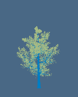 greenshift tree