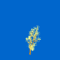 greenshift tree