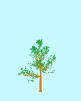 greenshift tree