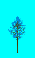 greenshift tree