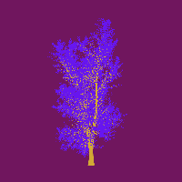 greenshift tree