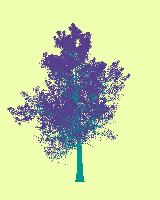 greenshift tree