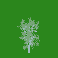 greenshift tree
