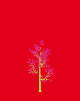 greenshift tree