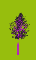 greenshift tree