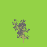 greenshift tree