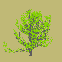 greenshift tree