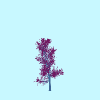 greenshift tree