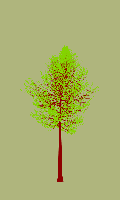 greenshift tree