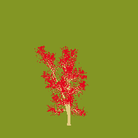 greenshift tree