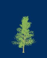 greenshift tree