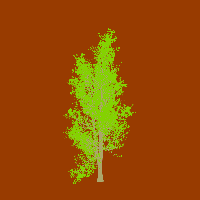 greenshift tree