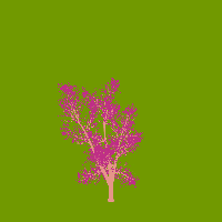 greenshift tree