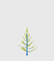greenshift tree