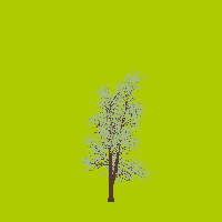 greenshift tree