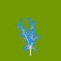 greenshift tree