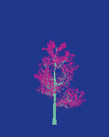 greenshift tree