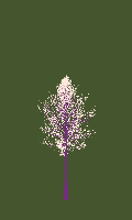 greenshift tree