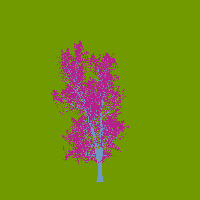 greenshift tree
