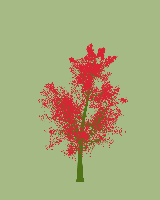 greenshift tree