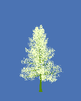 greenshift tree