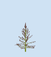 greenshift tree