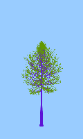 greenshift tree
