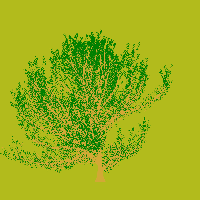 greenshift tree