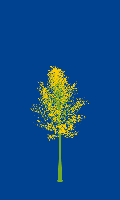 greenshift tree