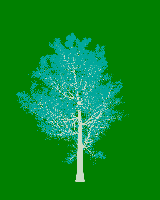 greenshift tree