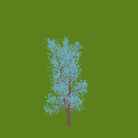 greenshift tree