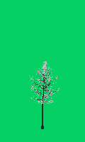 greenshift tree