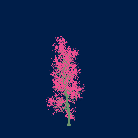 greenshift tree