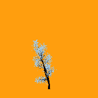 greenshift tree