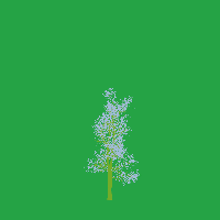 greenshift tree