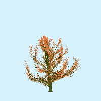 greenshift tree