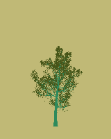 greenshift tree